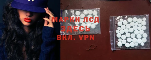 СК Алексин