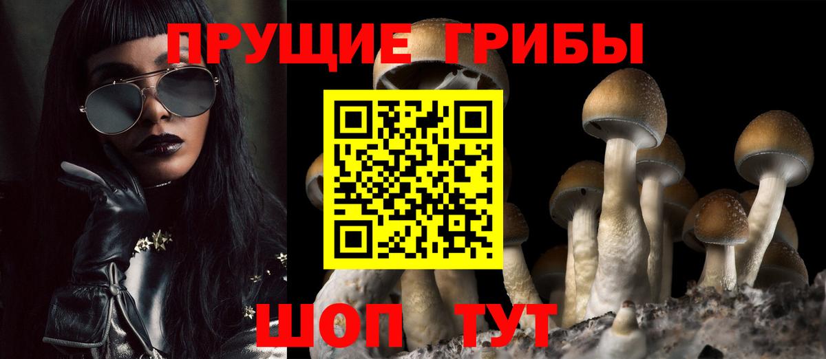 Галлюциногенные грибы мицелий  Галлюциногенные грибы Psilocybe  Вход с VPN  Чайковский 
